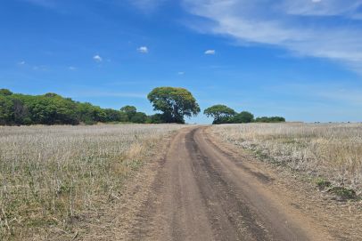 En el Departamento de Tala, Provincia de Entre Rios.