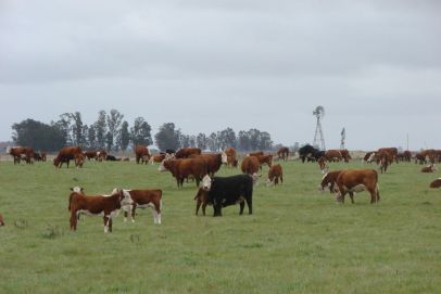En el Partido de Ayacucho, Provincia de Buenos Aires. A metros del asfalto.